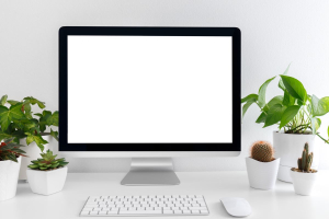 Etica per un digitale pulito, buono e giusto: Sloweb