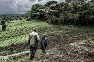 Congo in guerra, come il coltan finanzia i ribelli armati