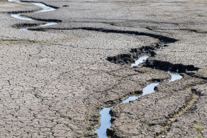 Copernicus: il 2025 è stato il terzo anno più caldo mai registrato