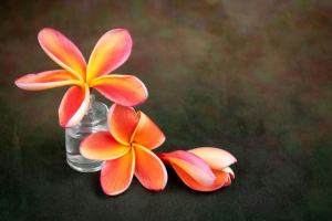 COREPLA insegna ai giovani detenuti a trasformare le bottiglie di PET in opere d’arte