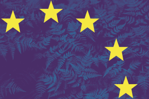 Towards a Global Green Deal