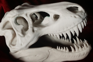 Biomaterials Come out on Top