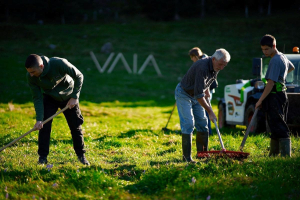 Dagli abeti delle Dolomiti agli ulivi del Salento: progetti che rigenerano territori e comunità