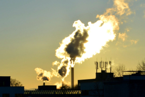 La Banca Europea per la ricostruzione e lo sviluppo continua a investire nel gas fossile