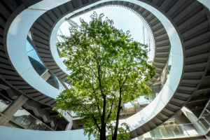 Enti locali al centro di una transizione giusta e circolare: la nuova strategia ACR+