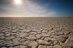 Siccità e desertificazione: è questo il futuro che ci aspetta?