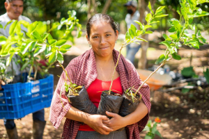 Crediti di carbonio, la startup zeroCO2 ottiene la certificazione Plan Vivo