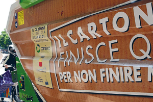 Cardboard Beats Decay