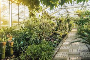 Occitania, regione a energia positiva