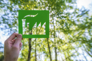 Economia circolare, CSRD e standard ESRS: la transizione verso uno sviluppo sostenibile