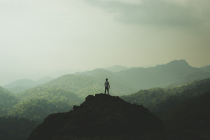 Giornata Mondiale dell’Ambiente: la conservazione non basta più, è tempo di rigenerazione