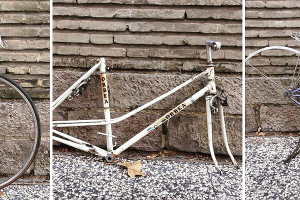 Il fattore economia sociale