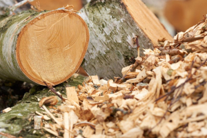 Biomassa solida e sostenibilità, le associazioni chiedono un tavolo tecnico