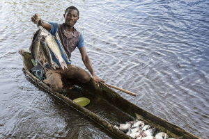 Startup, Keep IT Cool: refrigerazione a energia solare contro lo spreco di cibo