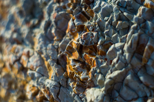 Fusione tra Terradot ed Eion, polvere di roccia contro la CO₂