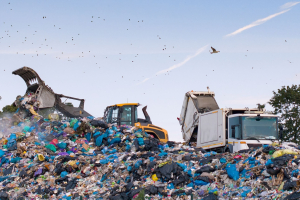 Sicilia, via libera a due inceneritori. Legambiente: “Truffa e danno ambientale”