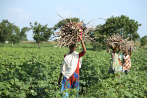Gender gap, Onu: per colmarlo servono 360 miliardi di dollari all’anno
