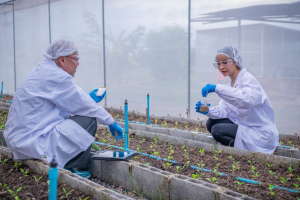 Giornata della bioeconomia 2025, un evento per la ricerca e l’industria