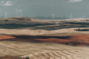 ASVIS: l’Italia non è sulla strada dello sviluppo sostenibile