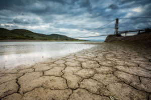 Gli impatti finanziari dei rischi climatici in due report del World Economic Forum