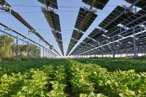 Gli USA chiedono all’UE di allentare le regole ambientali ma le aziende protestano