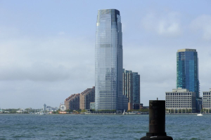 Goldman Sachs lancia il Biodiversity Bond Fund