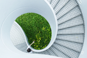 Lo stato (pessimo) della Green Economy in Italia