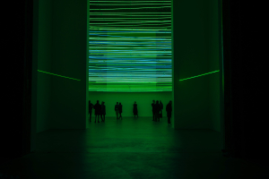 Green jobs: le competenze verdi? Importanti come il digitale e la lingua italiana