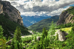 Capitale naturale e biodiversità