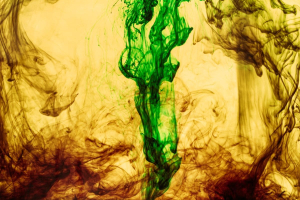 Greenwashing: se l’Europa arretra, a perderci sono i cittadini