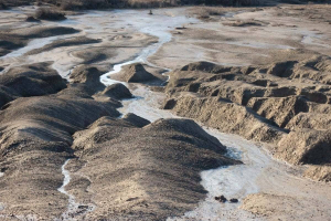 Salinizzazione del suolo: conseguenze gravi per la fertilità dei terreni