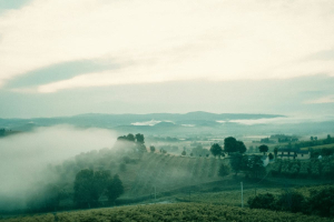 I cementifici di Gubbio che diventano inceneritori