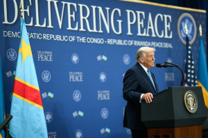 Il Board of Peace sostituirà una parte delle Nazioni Unite?