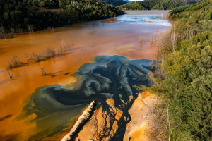 IPBES 2026 Report: business-as-usual is eroding biodiversity, but companies can benefit from saving it