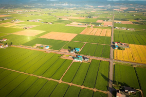 Il GHG Protocol lancia il primo standard globale per misurare gli impatti dell’agricoltura