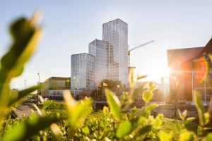 Il green italiano è un processo aperto