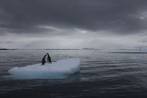 Il pianeta è in crisi ma possiamo ancora scegliere il nostro futuro: il GEO-7 UNEP