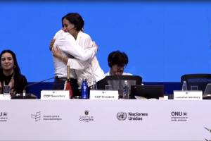 COP16, DSI mechanism for benefit sharing from the use of digital sequence information approved