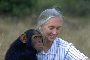 In ricordo di Jane Goodall