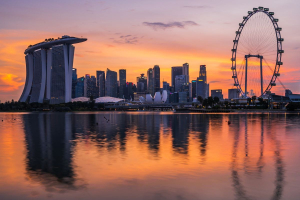 Integrità e qualità, parole chiave oggi decisive nei mercati del carbonio