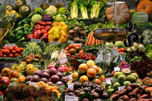 Food policy in Europa, verso sistemi alimentari equi e sostenibili