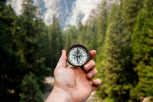 Crediti di carbonio, da Gold Standard e South Pole un nuovo tracker pubblico