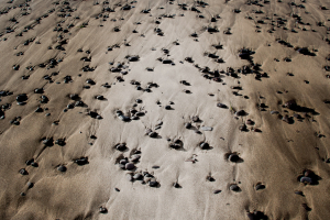 Suolo, cibo, emergenza siccità: a fine luglio il Simposio FAO