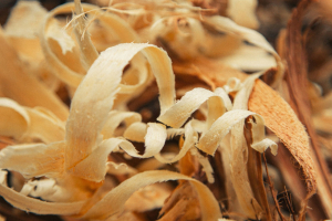 Metano sintetico da biomasse di scarto: la collaborazione di Nextchem e Engie