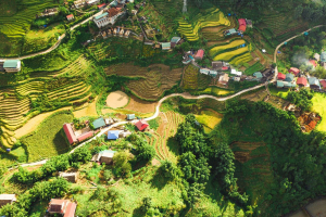 Agroecology Coalition, al lavoro per investimenti e advocacy nei sistemi alimentari