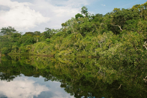 Water at the heart of COP30: what to expect after the Baku turning point