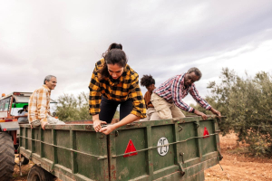 L’economia sociale non è un’appendice
