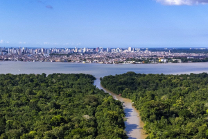 COP30’s local legacy: Cities will make or break the climate ﬁght