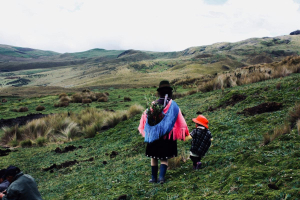 L’importanza delle terre indigene per la biodiversità e il clima