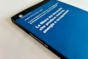 Biowaste: la filiera che produce materia, energia e occupazione